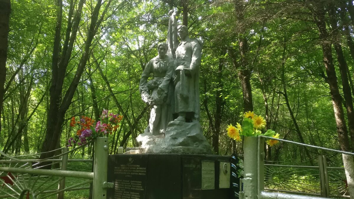 Zen Image