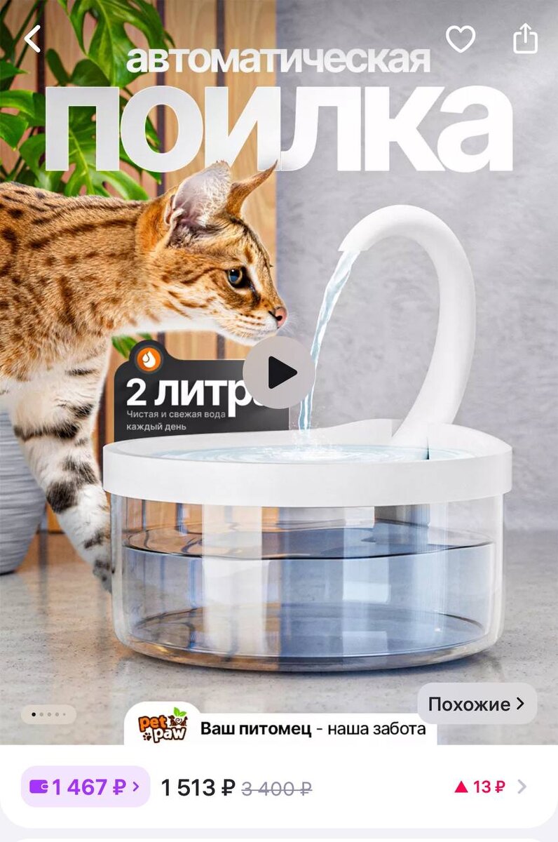 Пивозавры напряглись