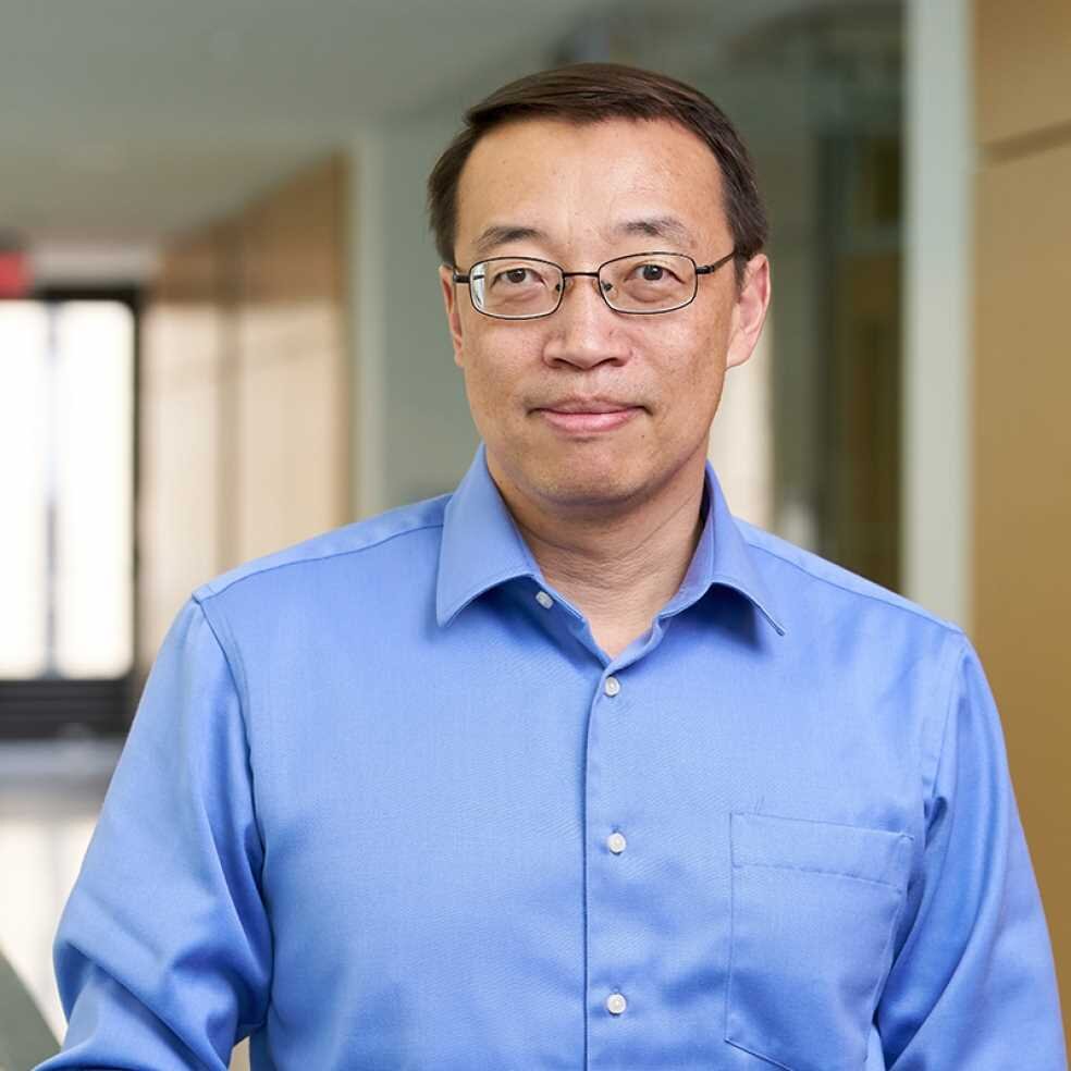 Крис Сюй — основатель и исполнительный директор бренда SHEIN