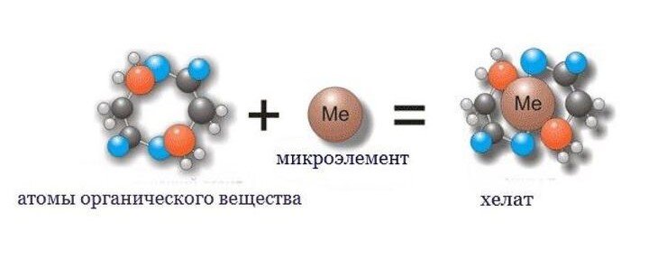 хелатные соединения микроэлементов