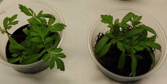    Фото предоставлено школой №1354