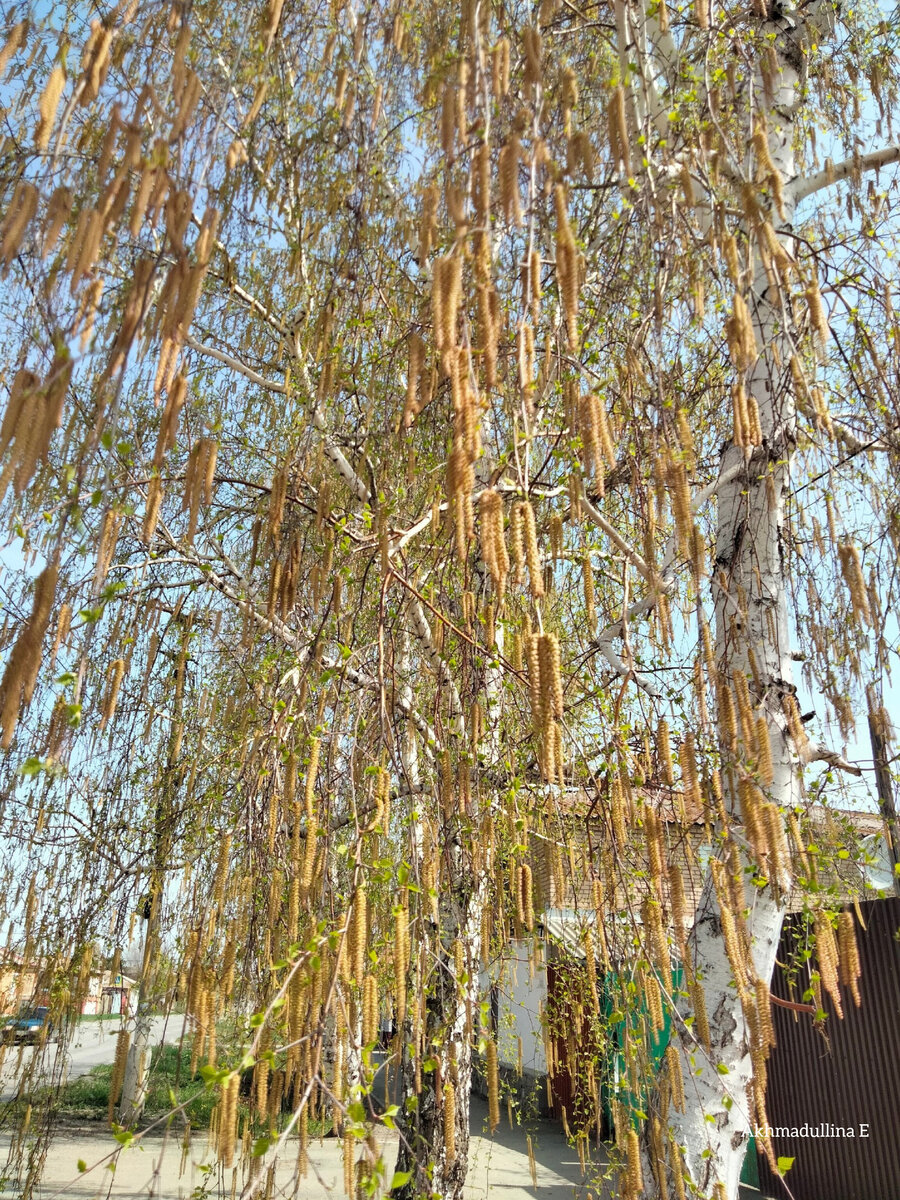 Вот он - завод, который распыляет что-то жёлтое 