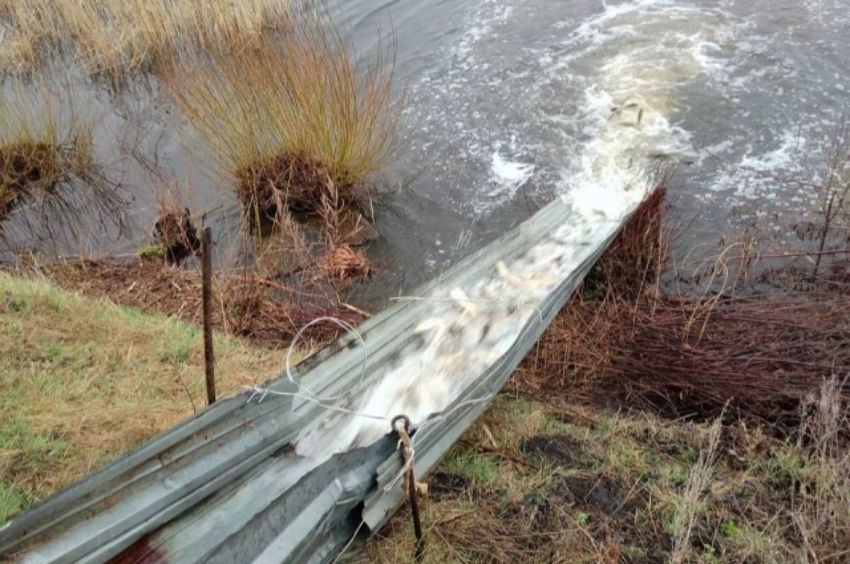    Сезон зарыбления водоемов начался в Нижегородской области