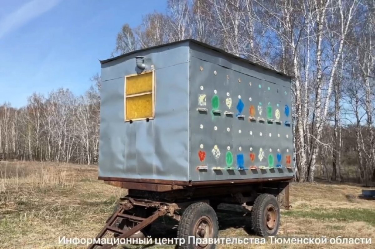    В тюменском селе Упорово заботятся о безопасности пчел