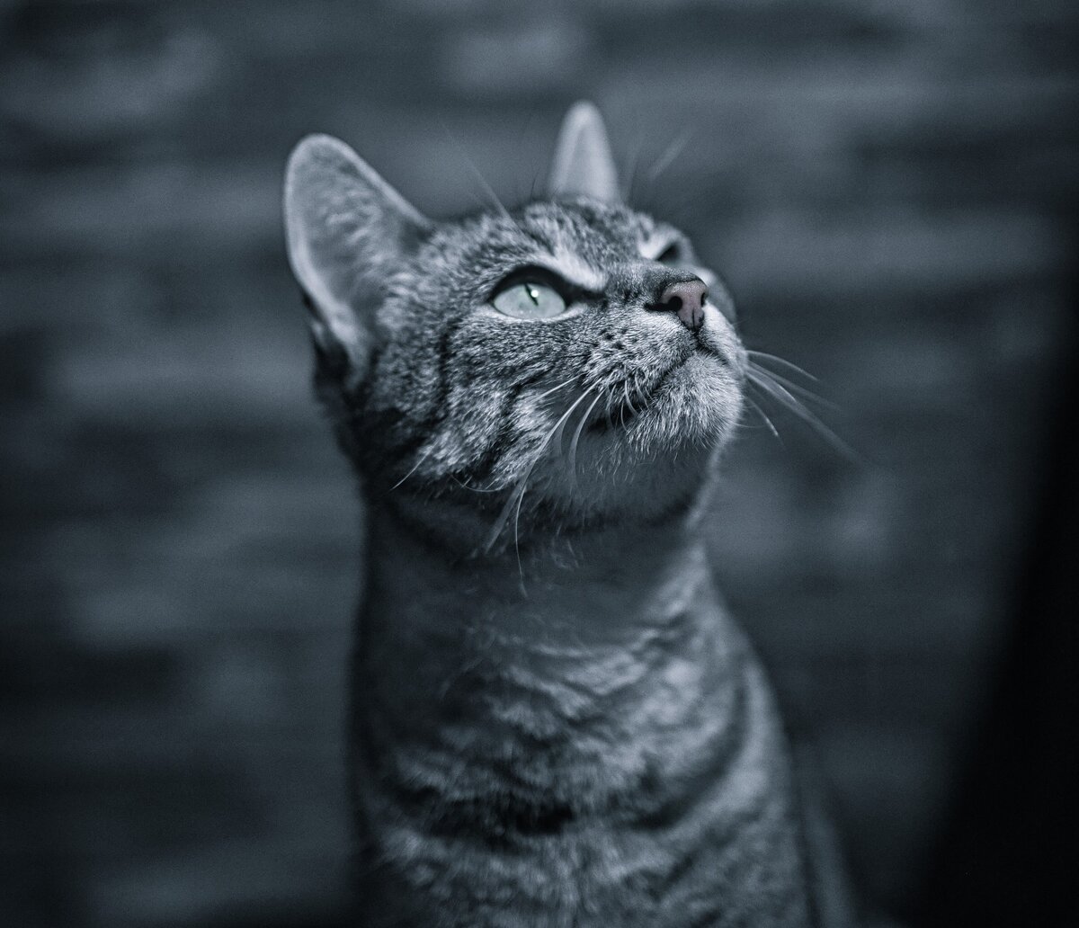 Для иллюстрации использована фотография с бесплатного фотостока Freepik (автор wirestock).