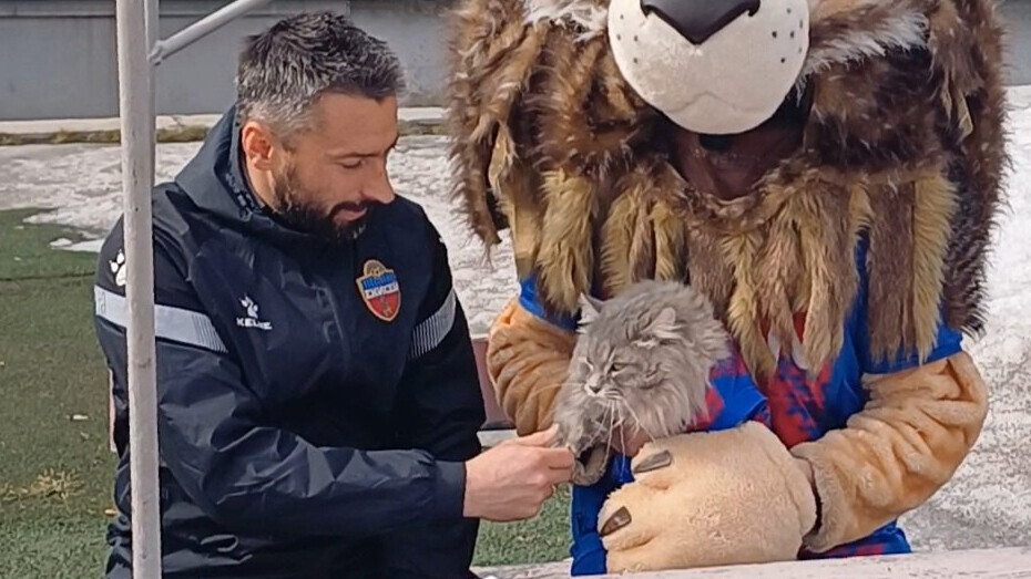 Кот по имени Лева Енисеев стал символом футбольного клуба «Енисей». Подписание контракта прошло в рамках благотворительной акции «В каждой кошке живет лев!