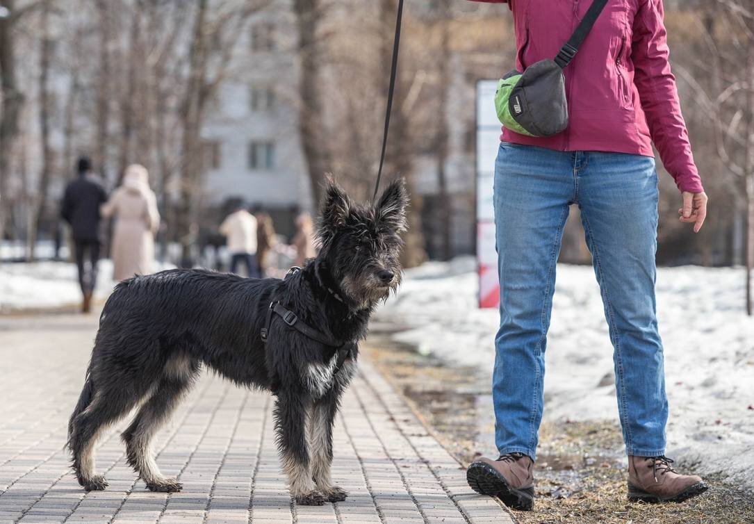 вряд ли уже вырастет больше 