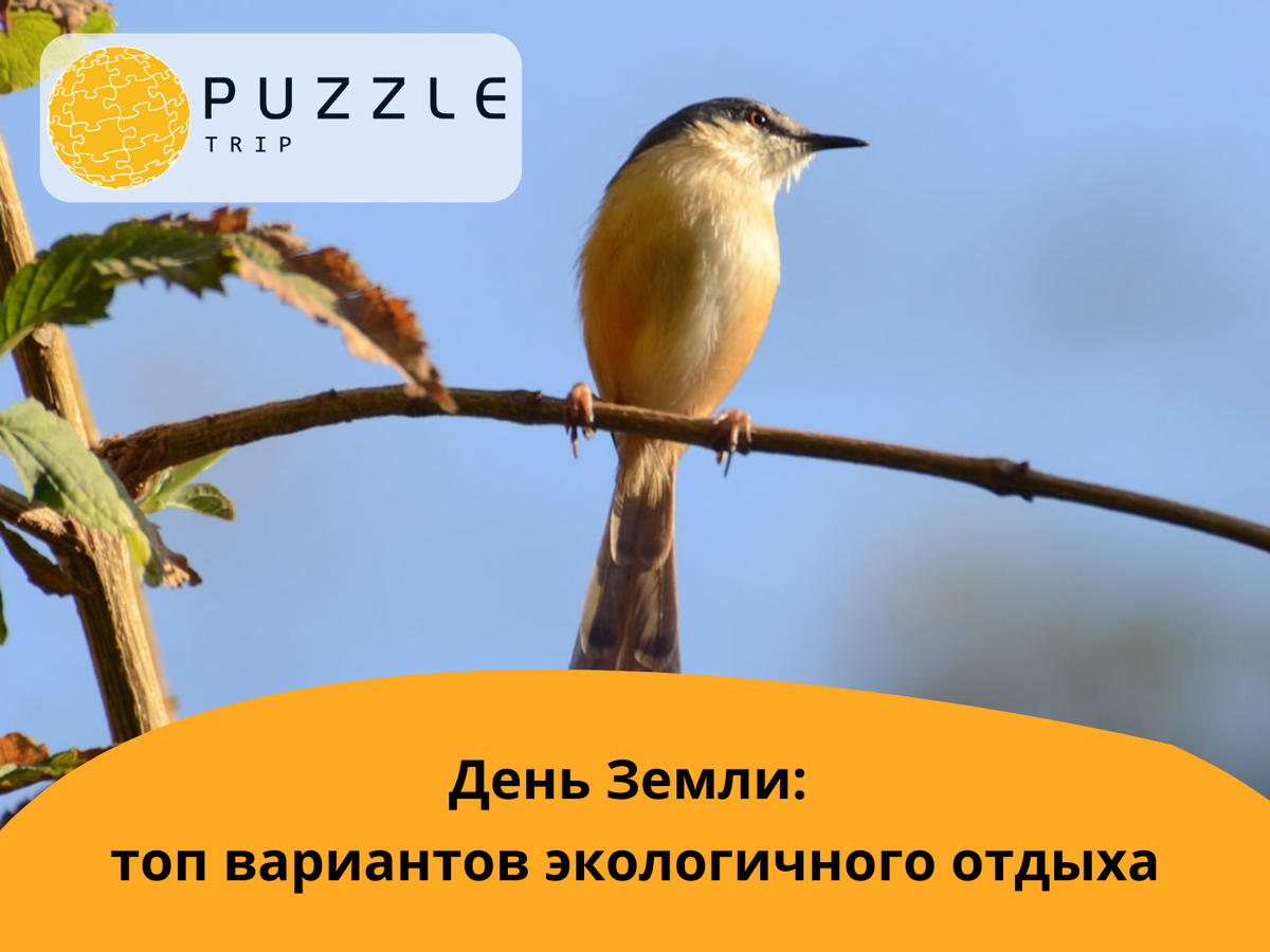 День Земли: варианты экологичного отдыха 