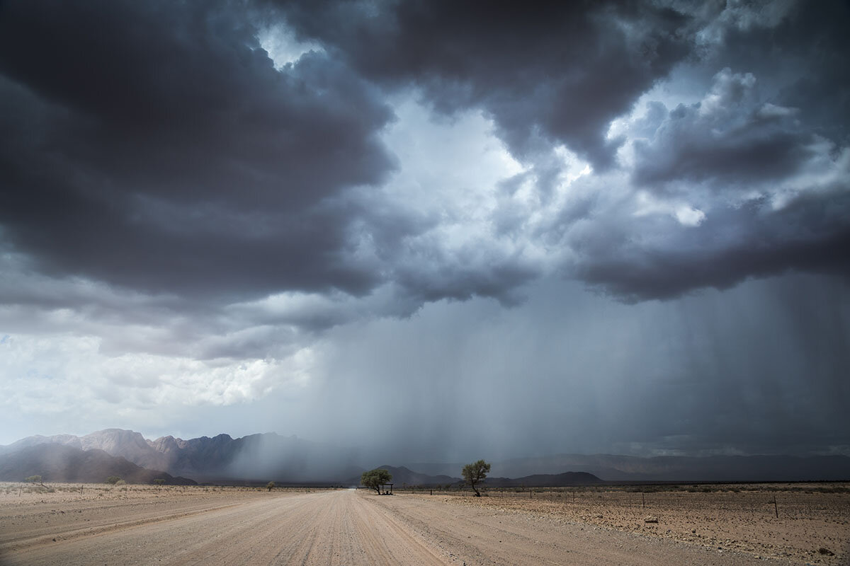    Mark Dumbleton / Shutterstock / PHOTODOM