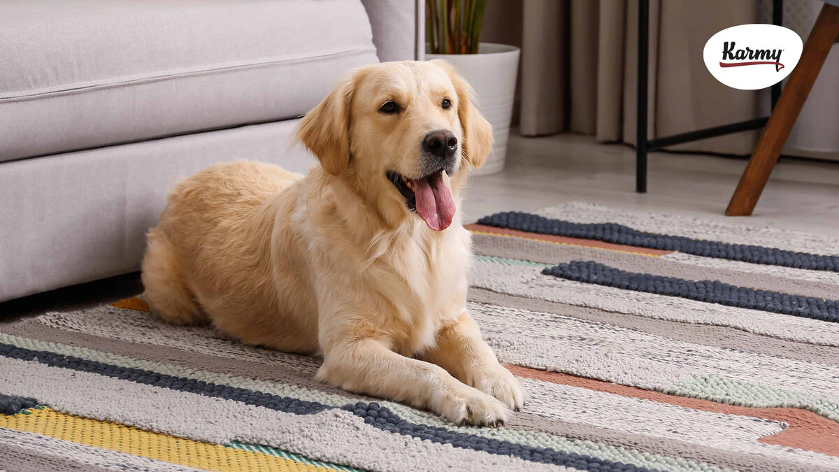 Авторское изображение с использованием картинки с сайта whiteduvet.ca