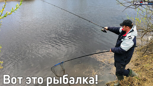 Рыбалка весной. Первые лещи. Закормили и начался клев. Пенопласт начал работать. Лещи в шоке и рыбаки тоже. Крупная плотва весной