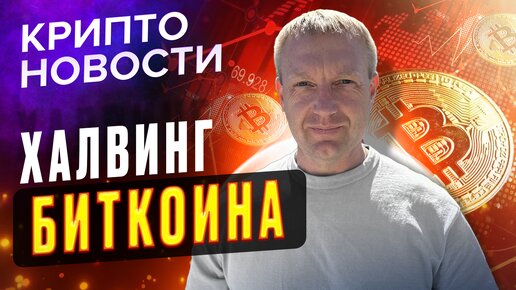 Реакция BTC на халвинг | Крипто новости | Crypto Emergency