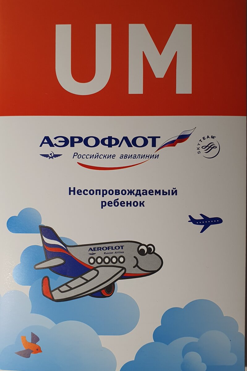 Заявка и заявление на перевозку несопровождаемого ребенка Аэрофлота