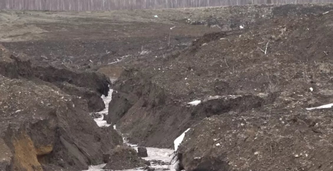    Фото: скриншот из сюжета "Вести Алтай"