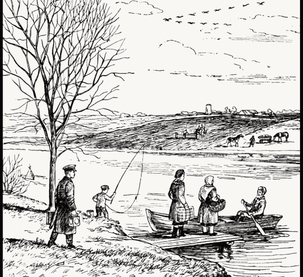 Непростая задача по окружающему миру, которую не могут решить городские дети и родители