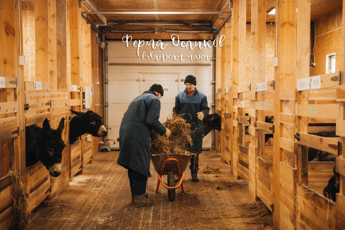 Республика Карелия, Лахденпохский район, п. Ханканмяки, ул. Приозерская.