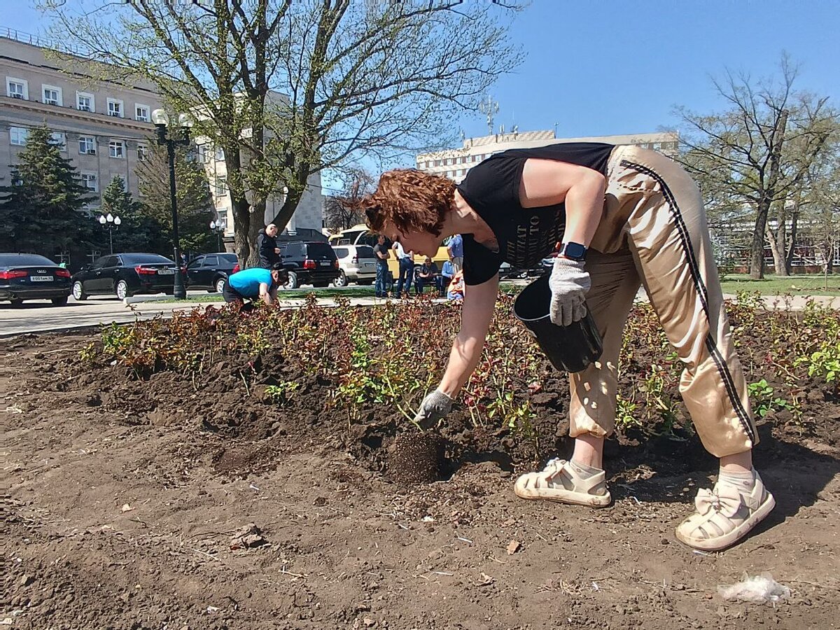 📷    На улицах Оренбурга в этом сезоне высадят более 2800 кустов роз Марина Шарт