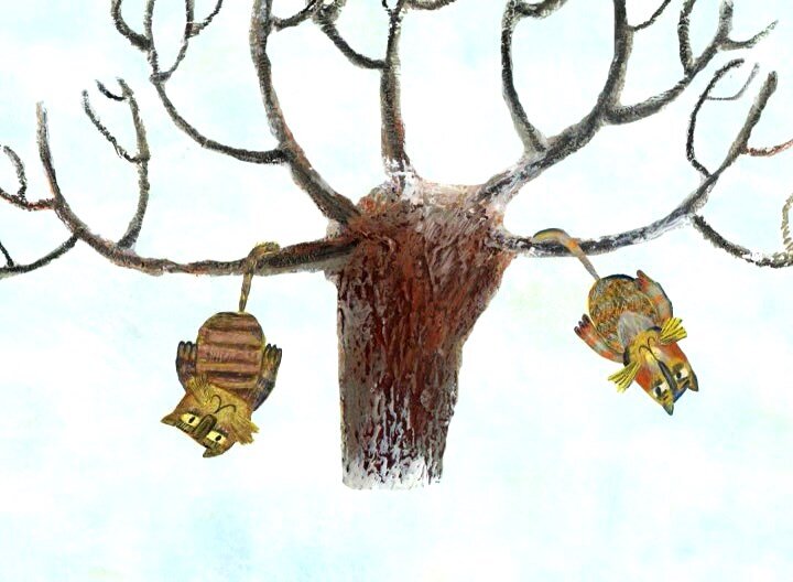 "Круглый год", реж. В.Фёдорова, 2008-2010. Серия "Январь. Снегири и коты"