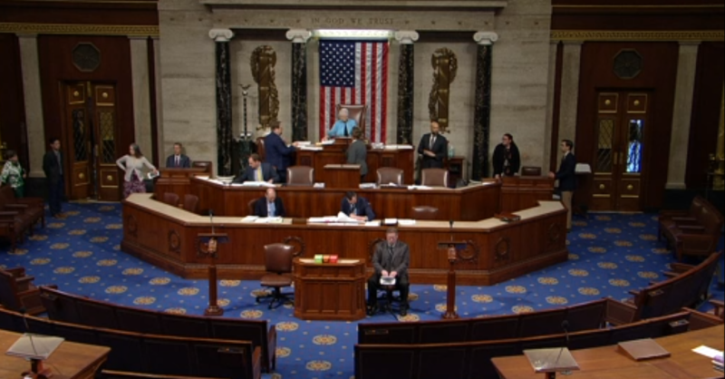   Палата представителей США. Скриншот трансляции live.house.gov