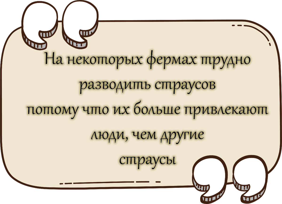  Несколько крутых и удивительных фактах о животных:  1. О Страусах.    2. О Снежных барсах  3. О Барсуках  4. О Фламинго  5. О Японских  макаках  6. О Выдрах  7. О Белках  8. О Пингвинах  9.