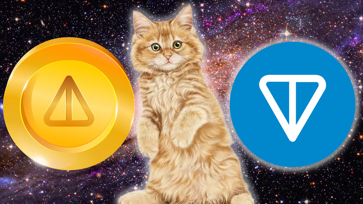 Catizen что за проект