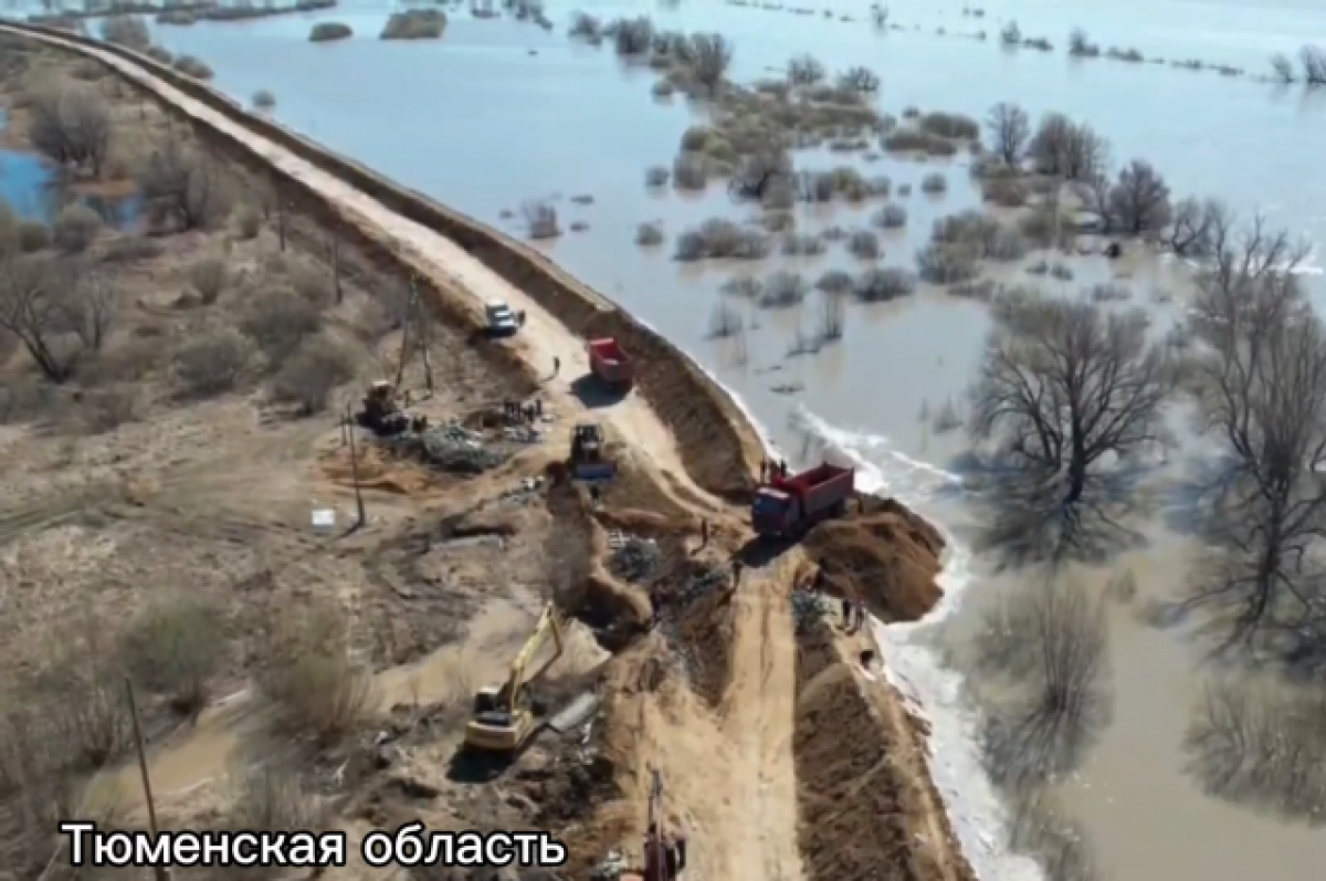    В Тюменской области подтоплены 107 жилых и 444 дачных домов