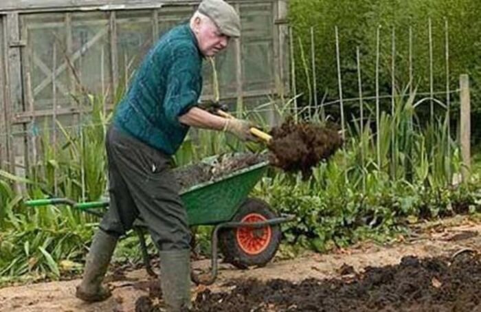 Источник фото: фото из открытых источников - для иллюстрации