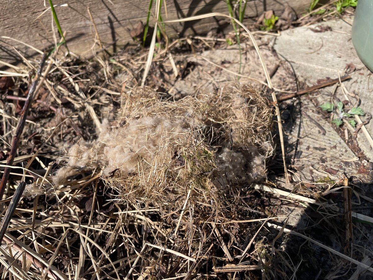 Гнездо с лутрасилом