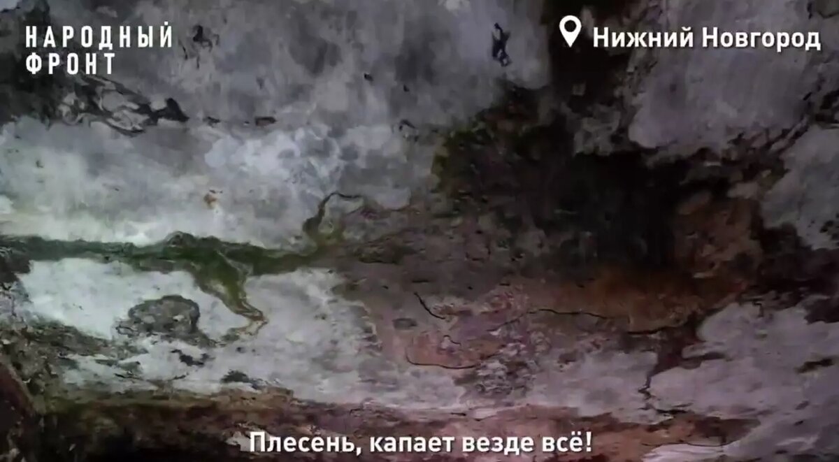     Источник: Народный фронт