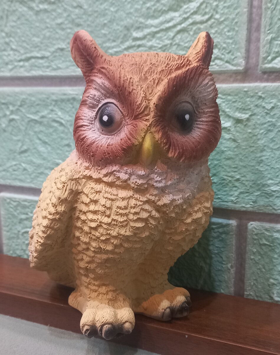 Фото из личного архива.Еще одна совушка прилетела ко мне.