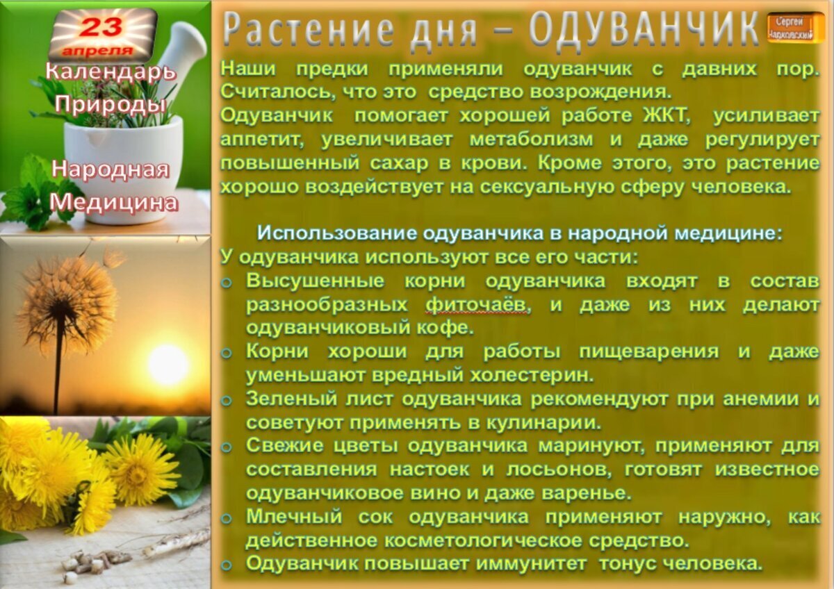 11 июля приметы и поверья. 1 июля приметы. июльские праздники. 1 июля праздник.