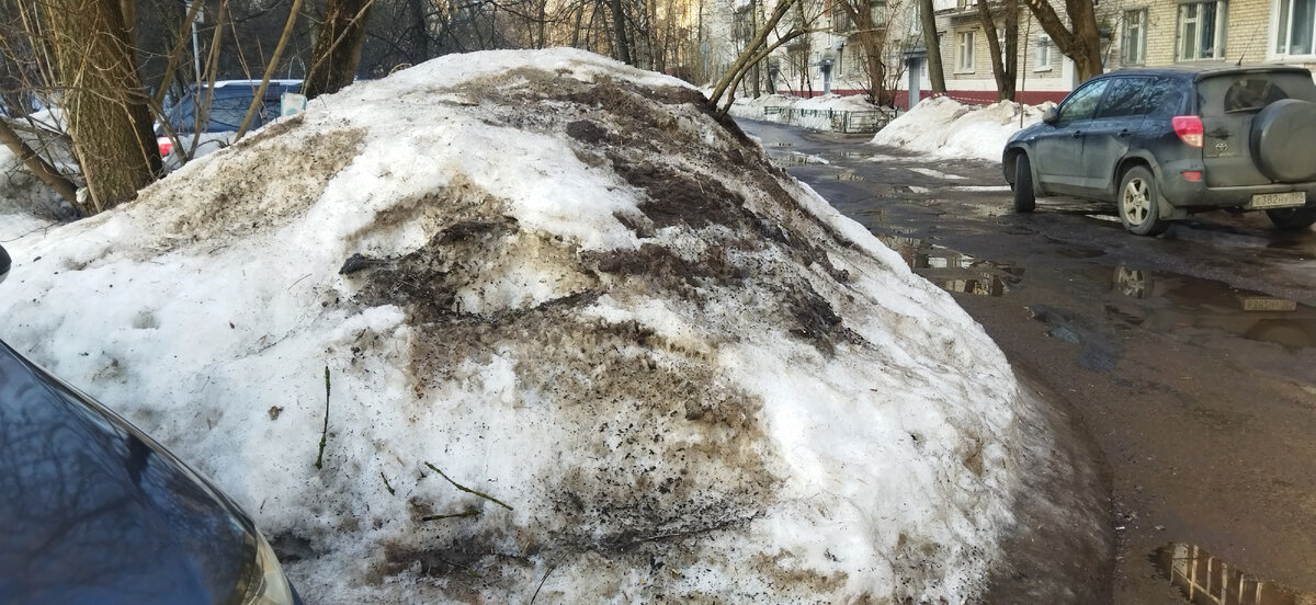 По дороге на работу. 