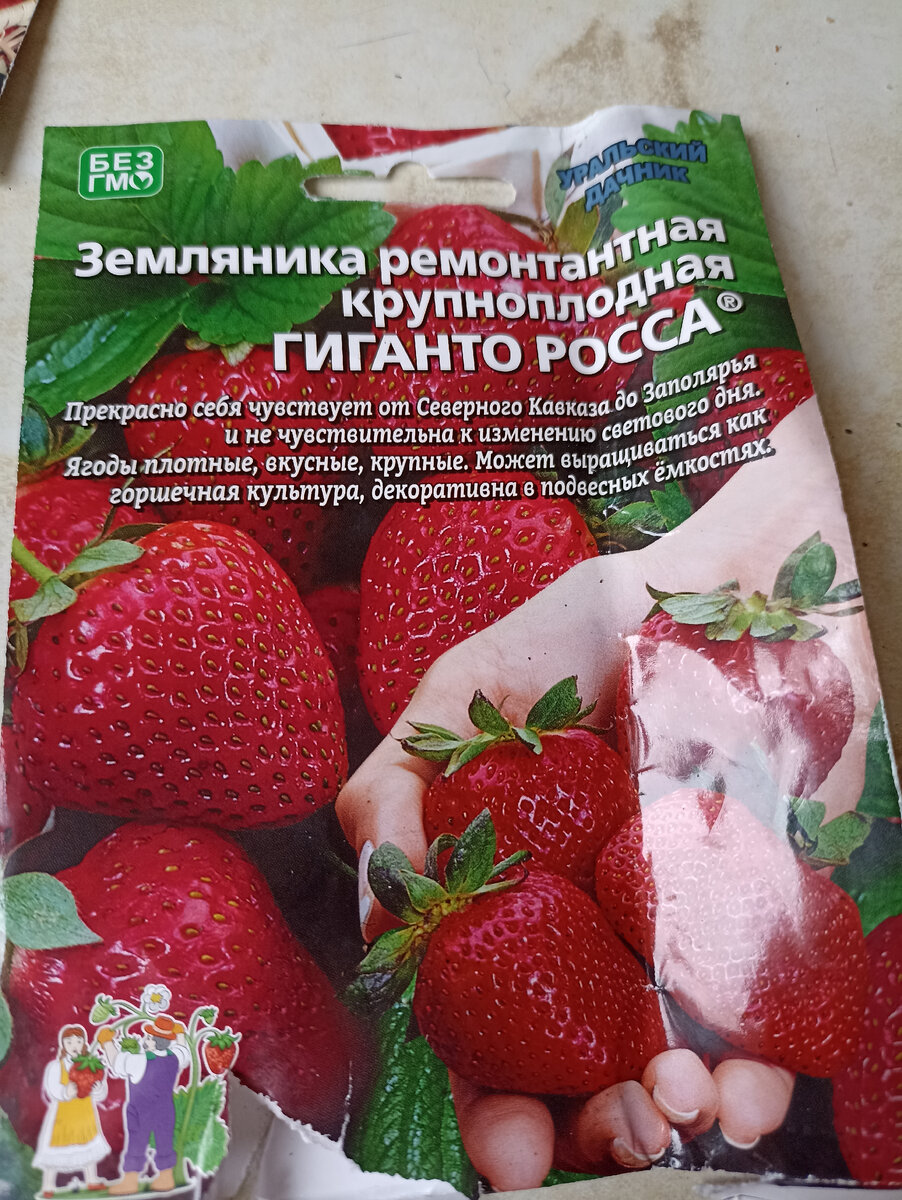 Клубника из семян в кашпо и не только | Про жизнь. Все просто! | Дзен