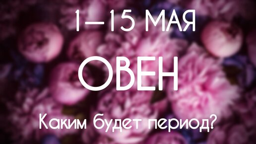 Овен. Таро-гороскоп на период с 1 по 15 Мая 2024