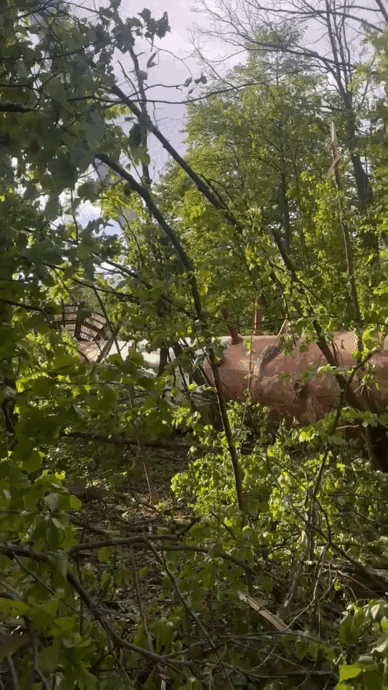 Видео с места опубликовал украинский блогер Анатолий Шарий. 