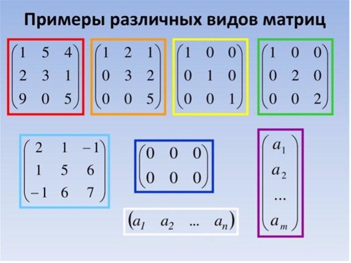 Виды матриц и их примеры