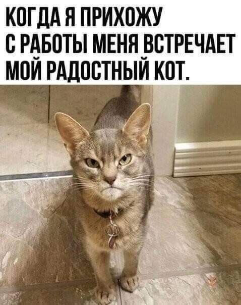 Я думаю в душе он правда рад!