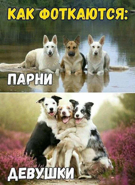 Абсолютная правда :)