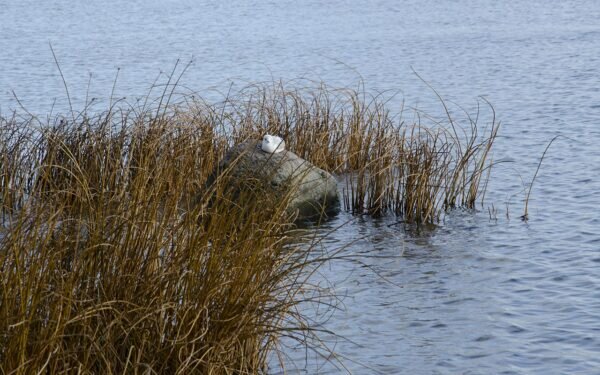    Фото: Светлана Лобова. UG.RU