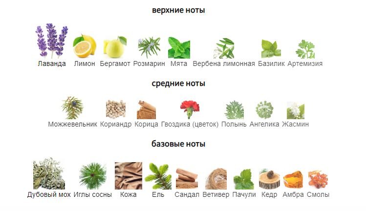 fragrantica.ru