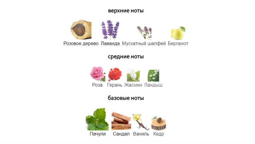 fragrantica.ru