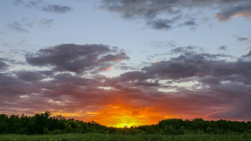     Жара. Солнце. Погода. СС0