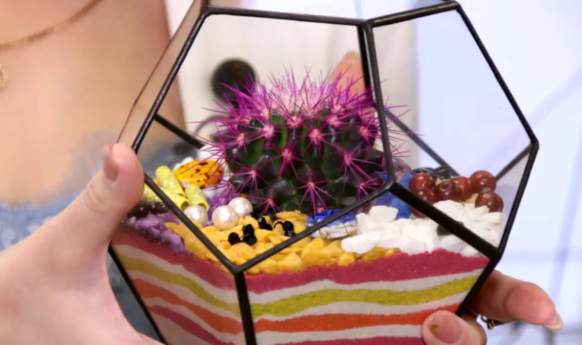 фото Братской студии телевидения