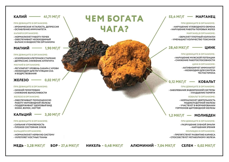 Противопоказания чаги березовой. Гриб чага сырье. Чага совместимость. 500мг №50 фармгрупп. Чага полезные качества.