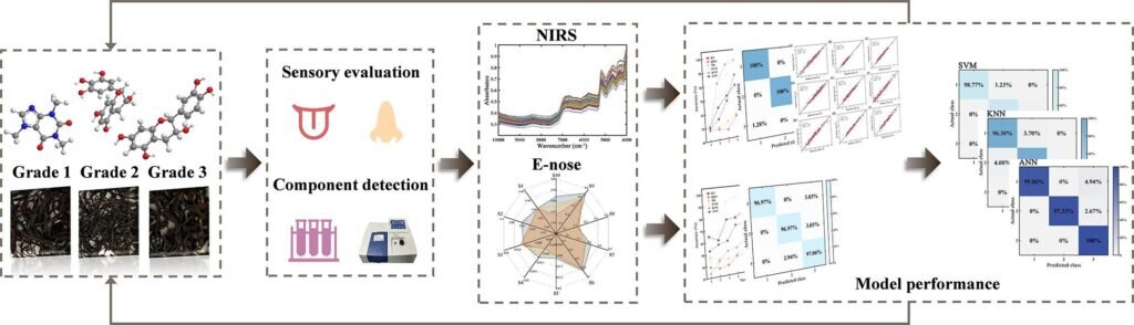 www.sciencedirect.com