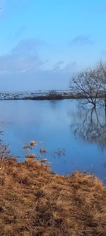    Фото: Амурский центр ГЗ и ПБ