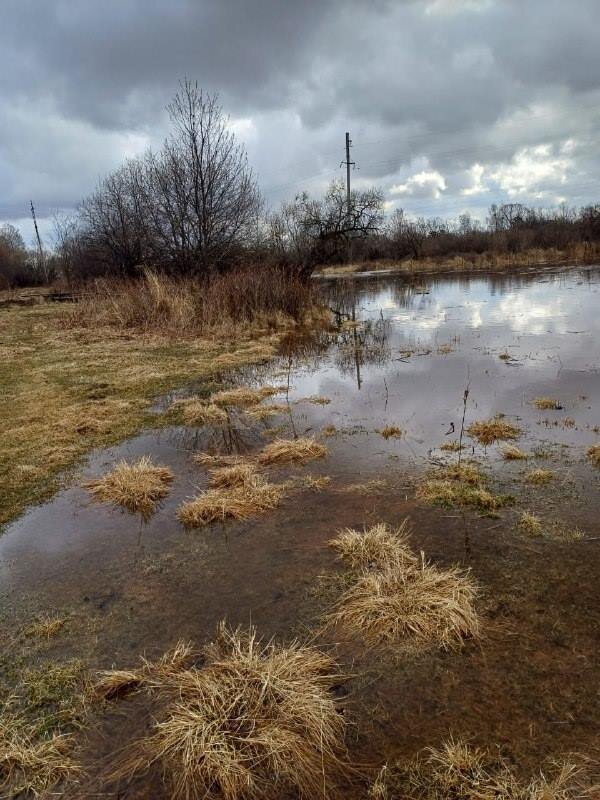    Фото: Амурский центр ГЗ и ПБ