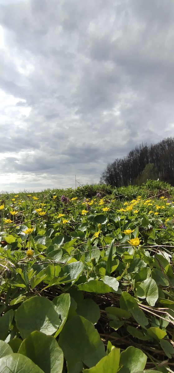 Личное фото