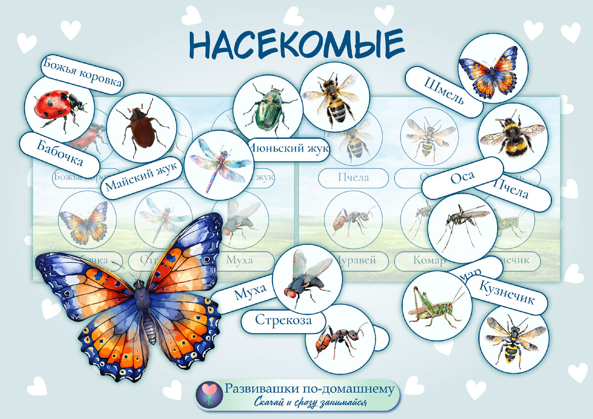 Порхай, как бабочка, или новая летняя серия игр на липучках для  любознательных ребятишек | Развивашки по-домашнему | Дзен