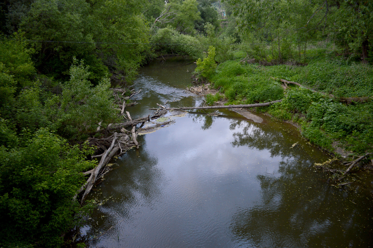 Наша Смедовка, вид с подвесного моста. Все фотографии в статье мои 